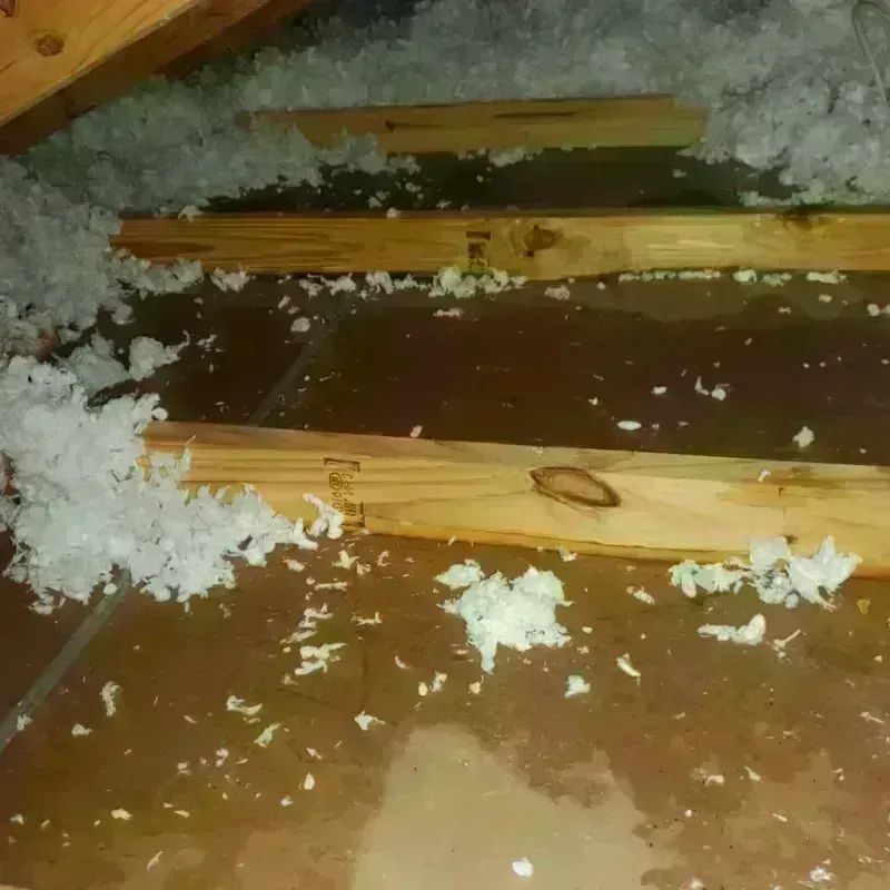 Attic Water Damage in Lake Placid, FL